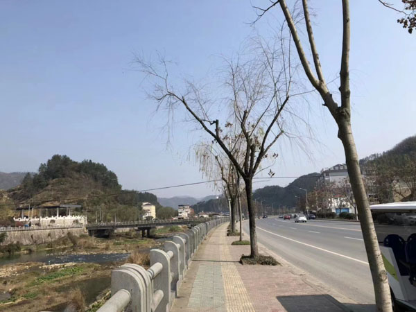 網上購物商城運營半年傳銷層級達46層！上海刑事律師咨詢網帶您了解