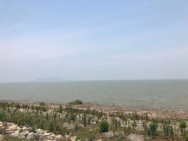 毒品案件如何承辦？上海死刑辯護(hù)律師為您介紹