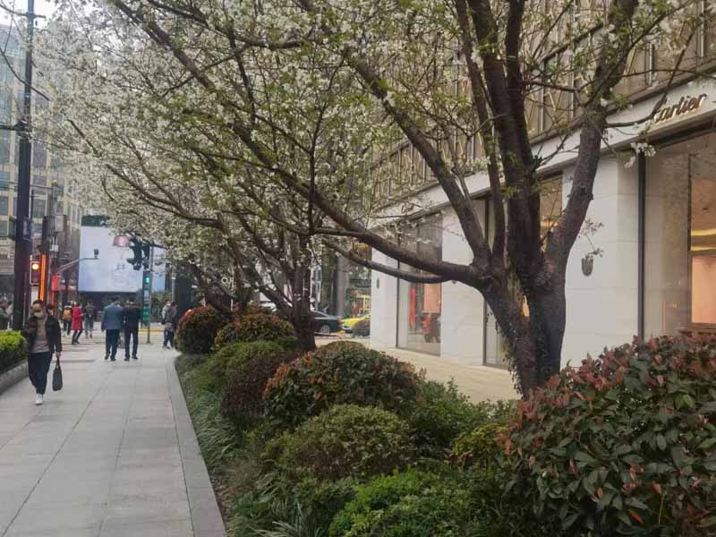 黃浦區(qū)刑事律師解析：徇私舞弊不移交刑事案件罪的罪名起源來自哪里？