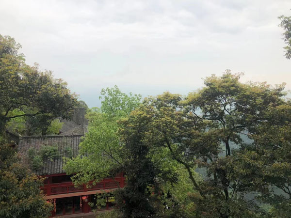 上海打刑事案件的律師來講講用信息網(wǎng)絡(luò)實施誹謗罪的司法認(rèn)定