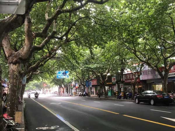 持假槍搶劫會被法院認定為持槍搶劫嗎？上海死刑辯護律師來回答
