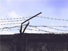 金鶴新城律師_因不滿母親奚落將其錘殺