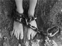 黃浦區律所講中央重點關注豐縣“鐵鏈女”事件